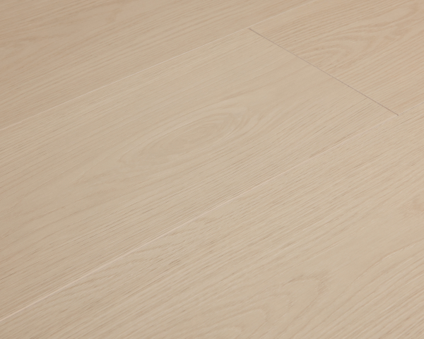 美國海岸系列 - LAAER伊利