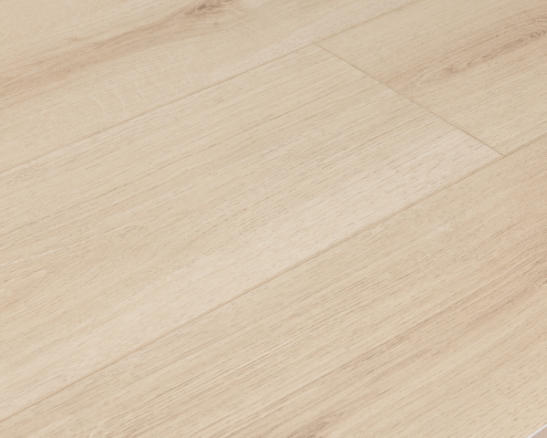 美國海岸系列 - LAAMI馬可島