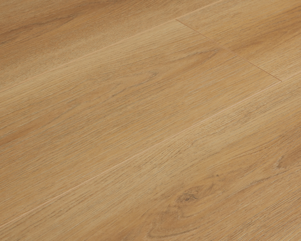 美國海岸系列 - LAATI泰碧島