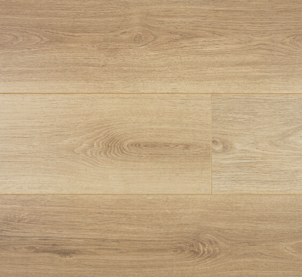 美國海岸高防水-WRLBT貝瑟尼