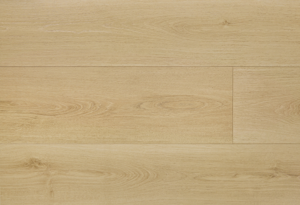 美國海岸高防水-WRLCS卡森