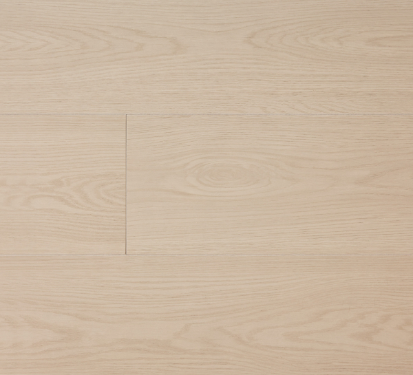 美國海岸高防水-WRLER伊利