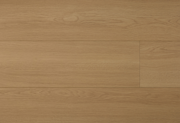 美國海岸高防水-WRLKR肯諾拉