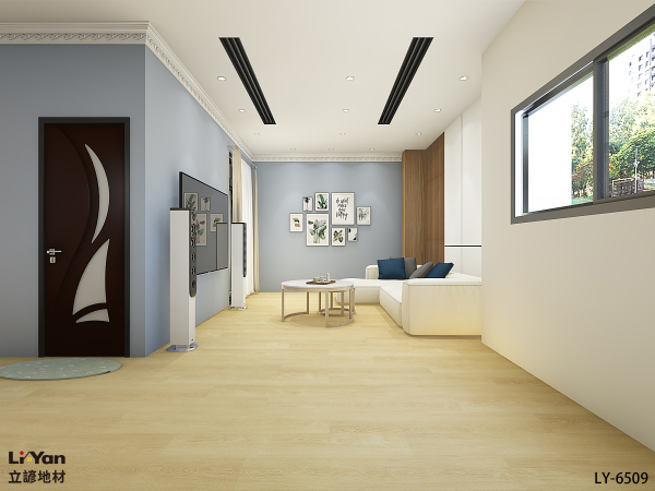 禾里家6.5mm系列  LY-6509